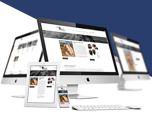 Web tasarim izmir kurumsal website